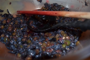 Domowe wino z fioletowych winogron