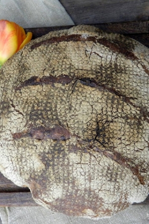 Chleb Tartine - majowa piekarnia