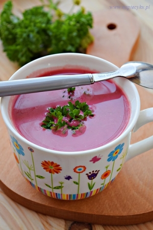 Zupa – krem z botwinki i kalarepy