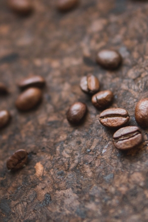 Historia kawy